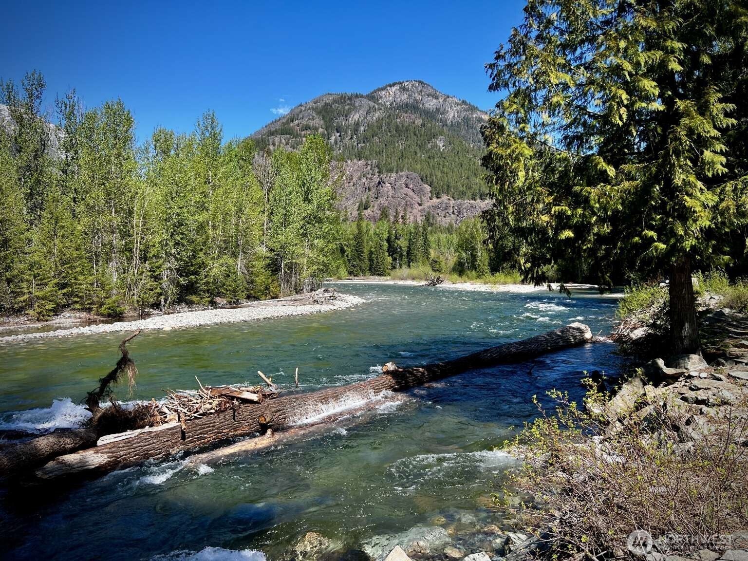 35 Emerson Road , Mazama, WA 98833