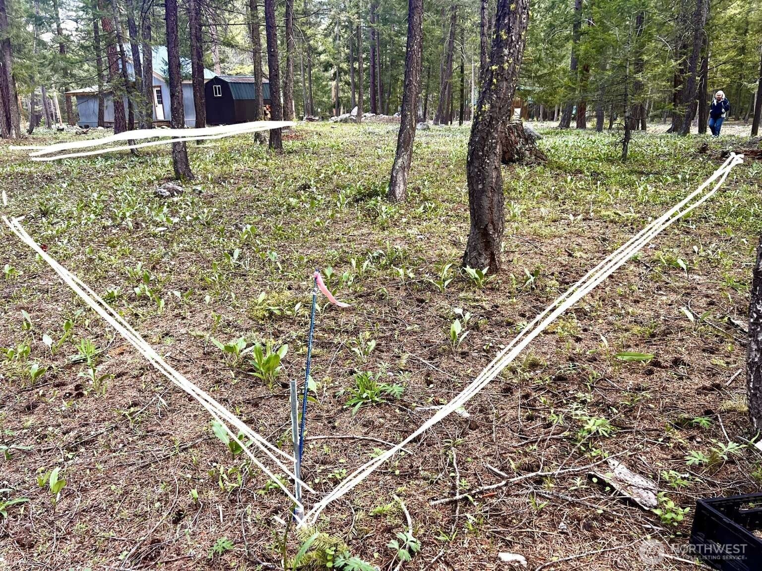 35 Emerson Road , Mazama, WA 98833