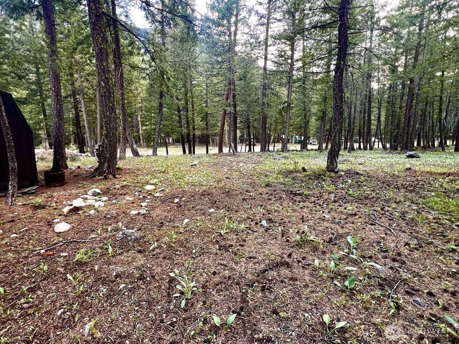 35 Emerson Road , Mazama, WA 98833