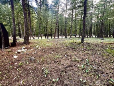 35 Emerson Road , Mazama, WA 98833 - Photo 9