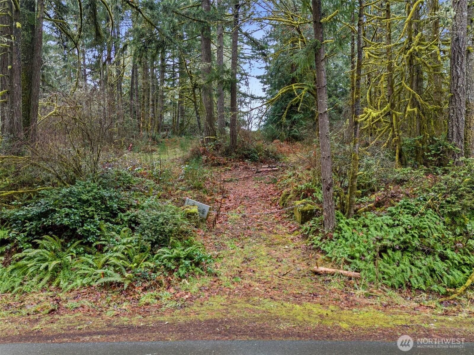 2641 28th Avenue NW, Olympia, WA 98502