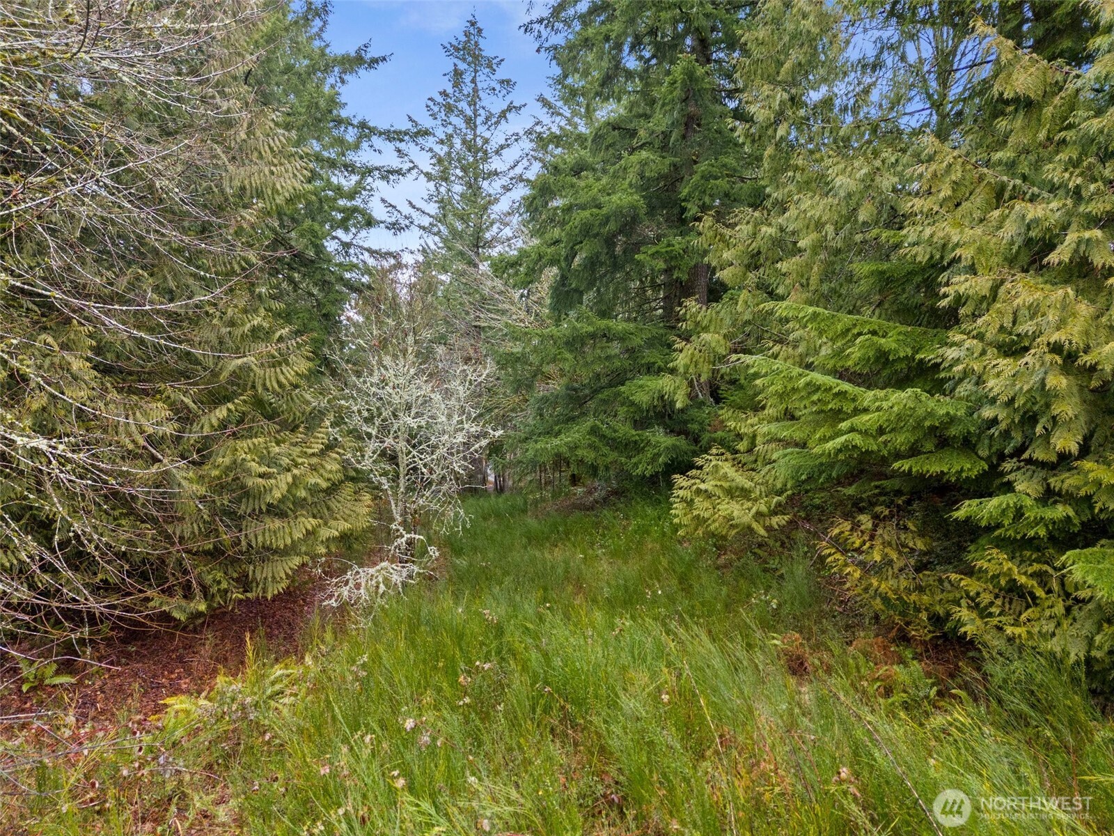 2641 28th Avenue NW, Olympia, WA 98502