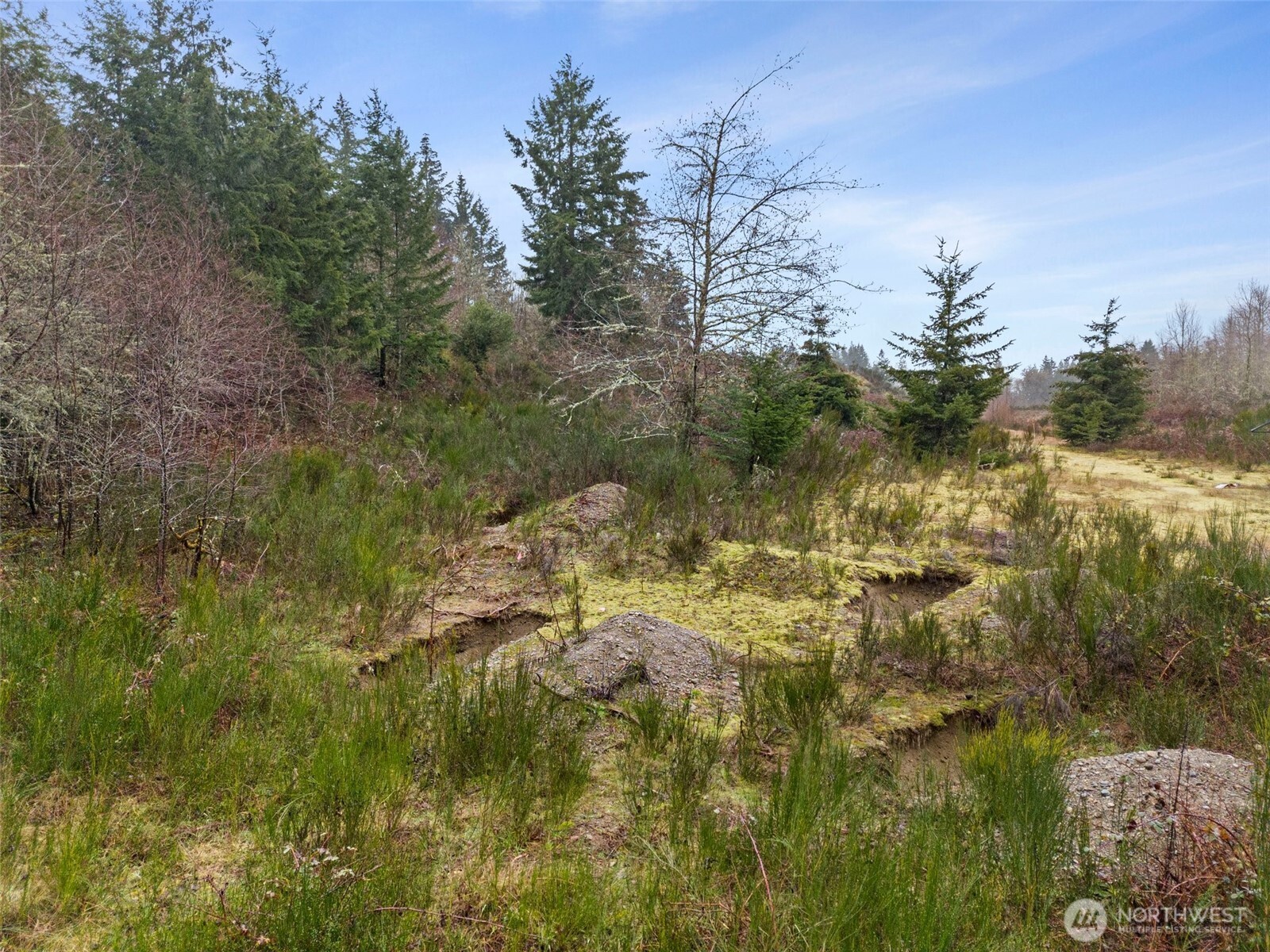 2641 28th Avenue NW, Olympia, WA 98502