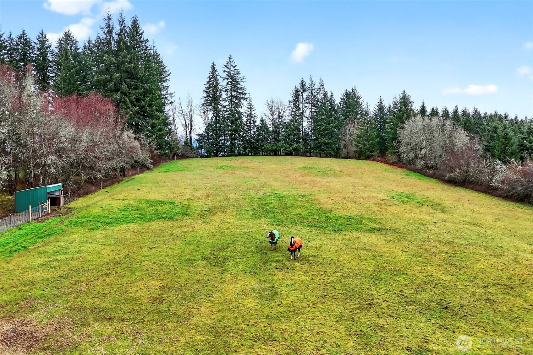 39310 NE 6th Avenue , Woodland, WA 98674