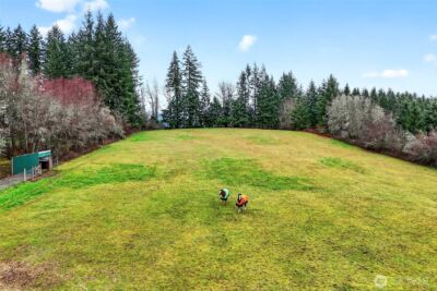 39310 NE 6th Avenue , Woodland, WA 98674 - Photo 33