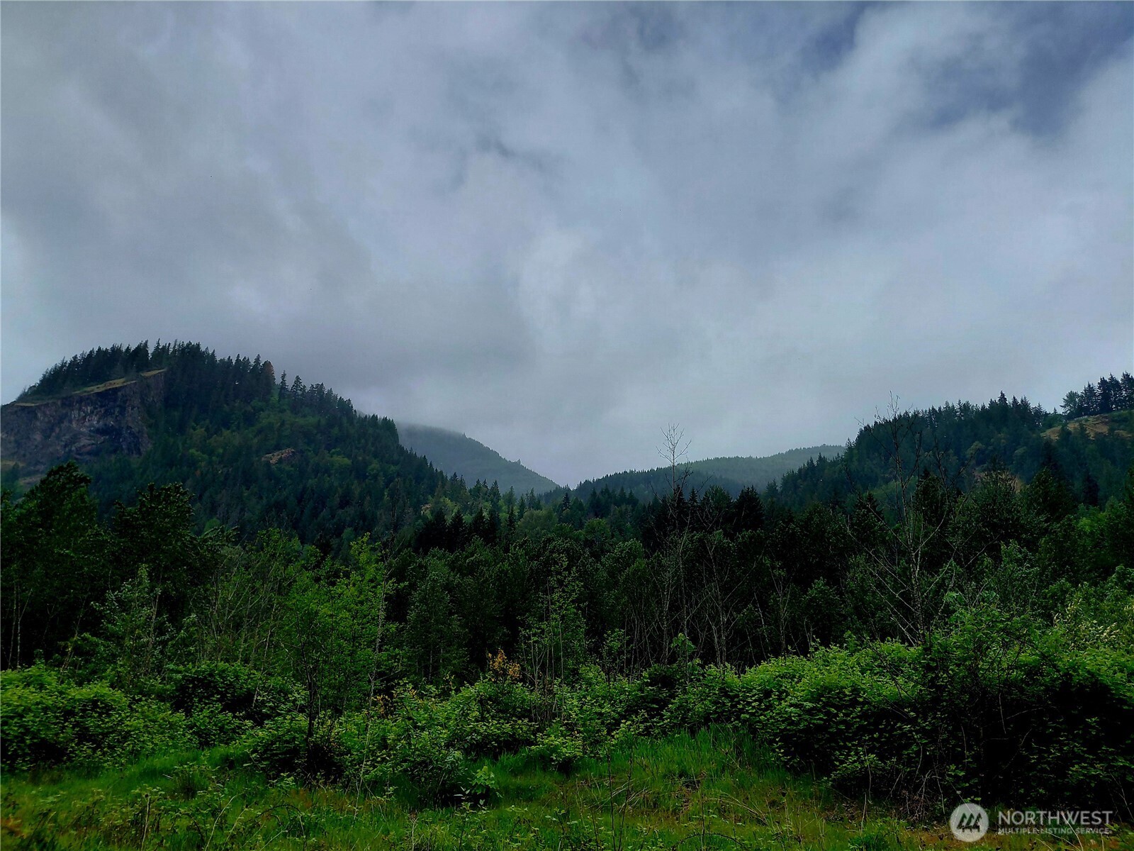 0 Highway 12 , Randle, WA 98377