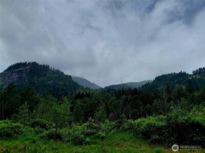 0 Highway 12 , Randle, WA 98377 - Photo 2