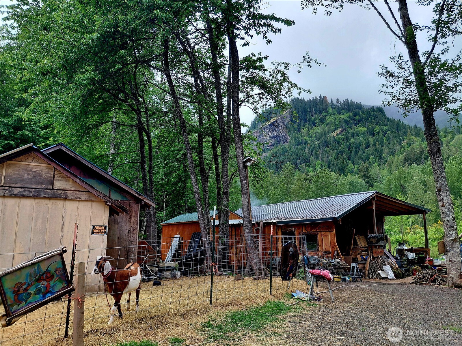 0 Highway 12 , Randle, WA 98377
