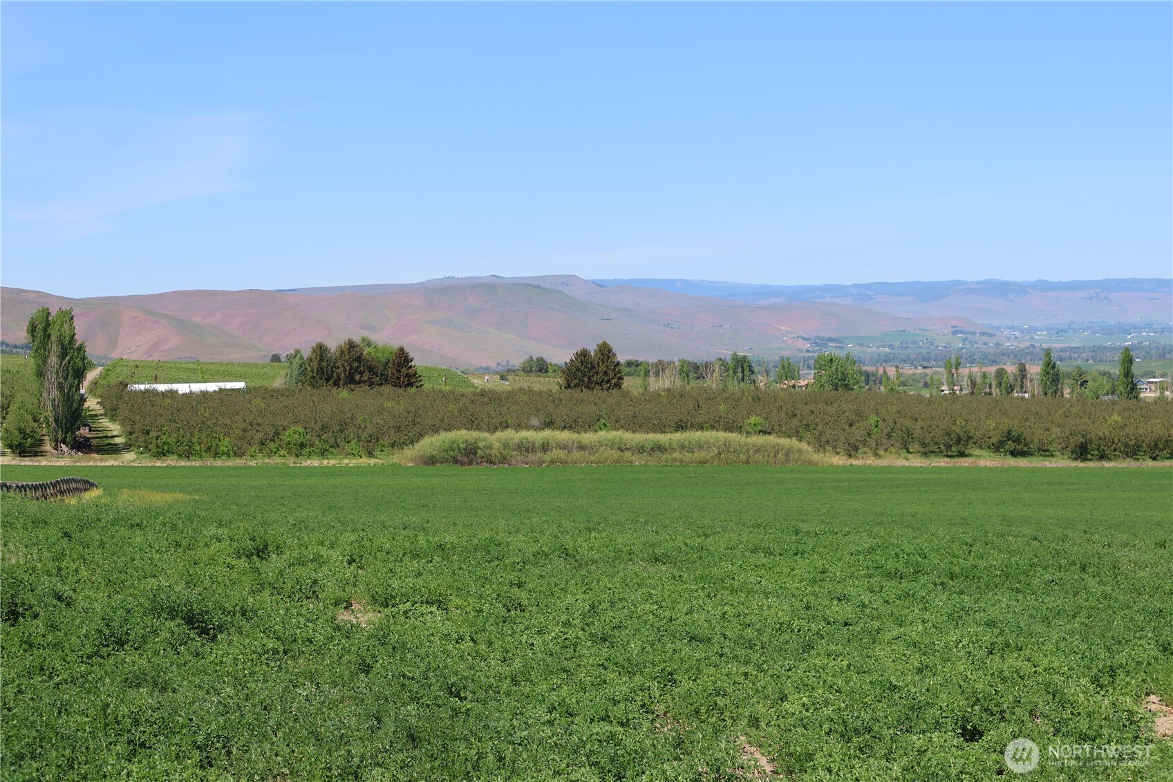 5533 Denmark Road , Ellensburg, WA 98926