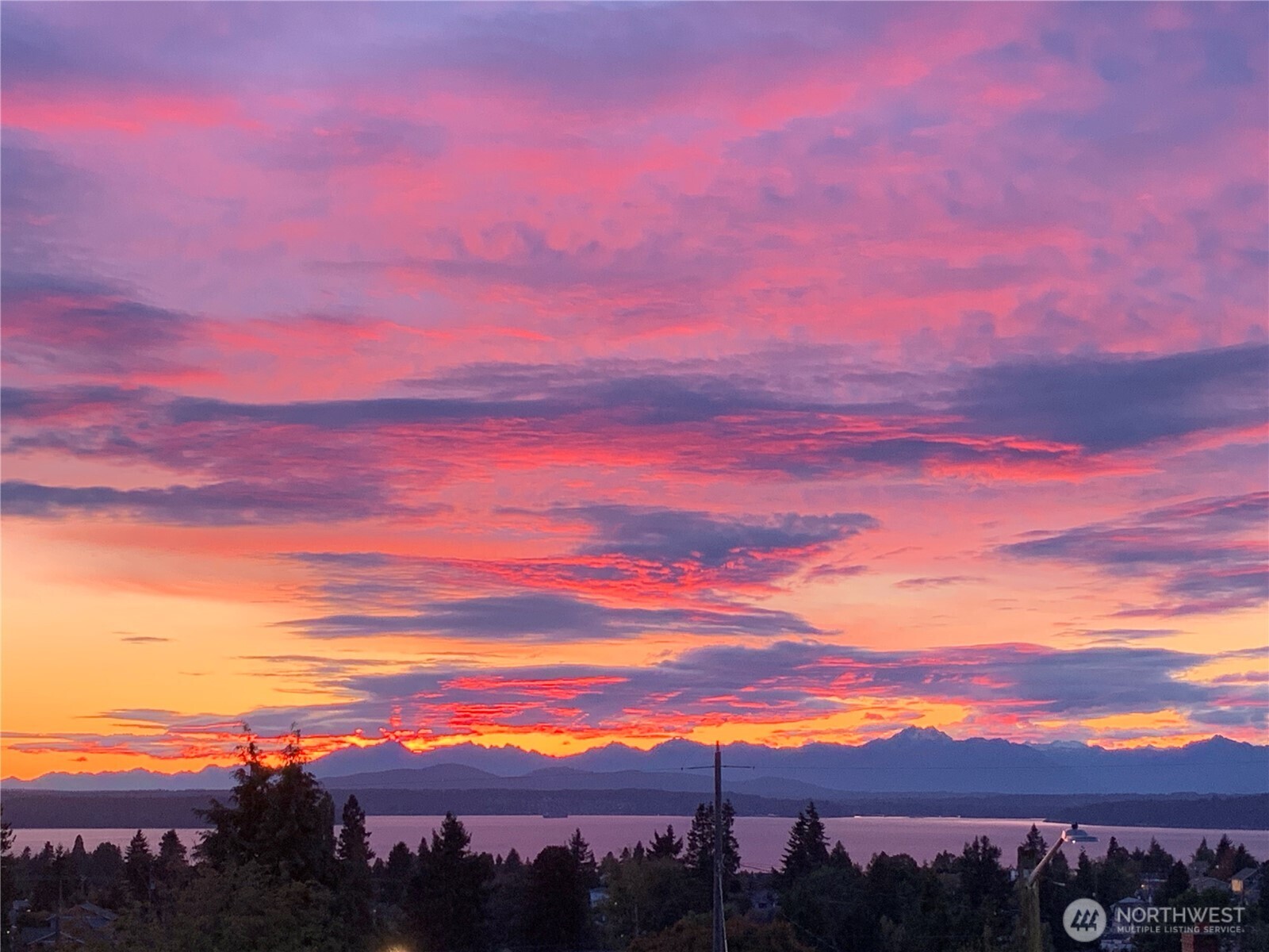 5958 35th Avenue SW, Seattle, WA 98126