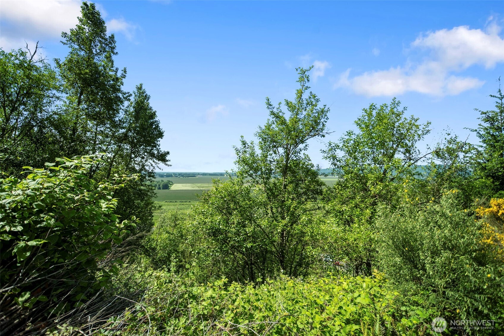 110 N Burke Road , Woodland, WA 98674