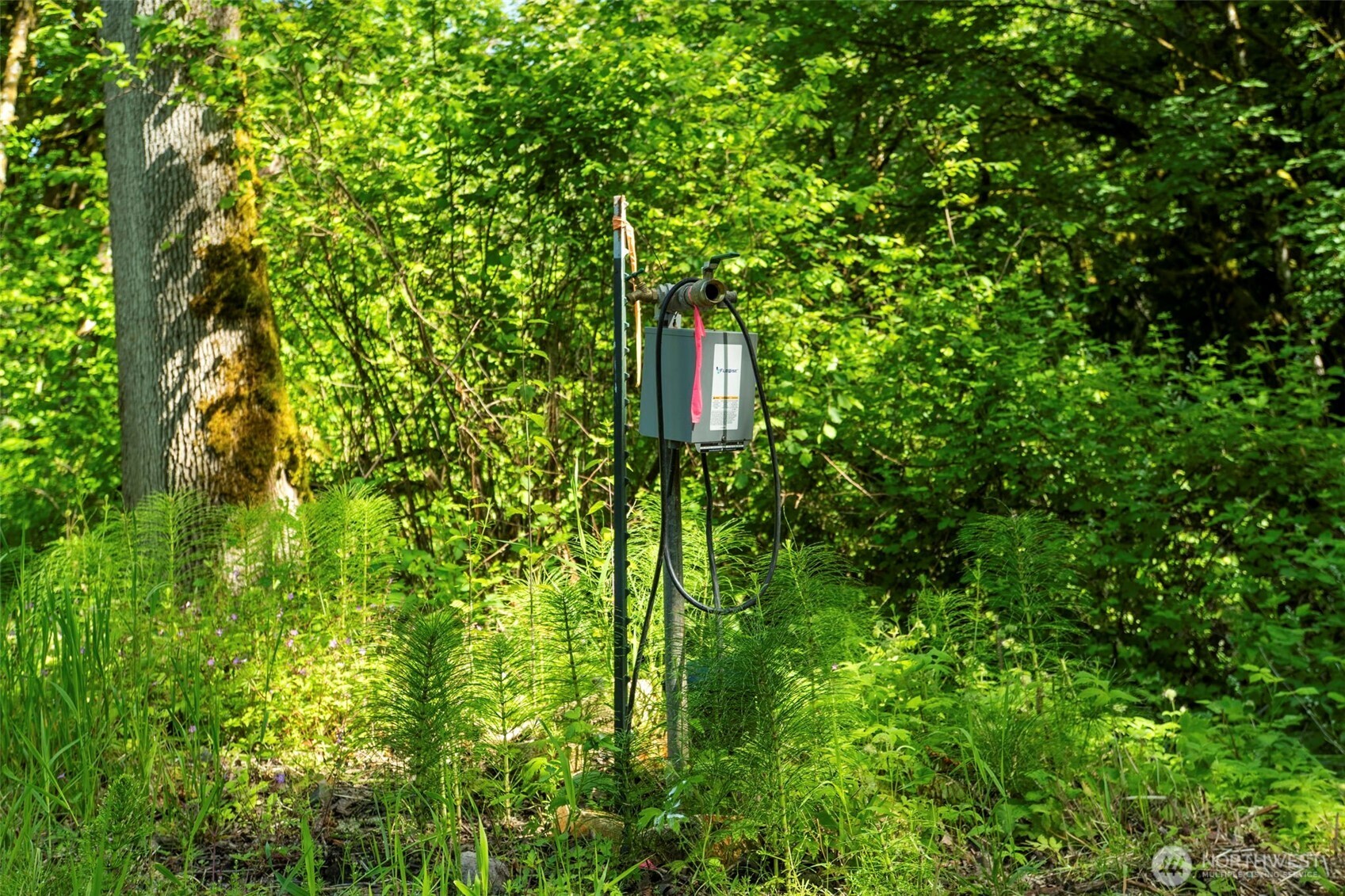 110 N Burke Road , Woodland, WA 98674