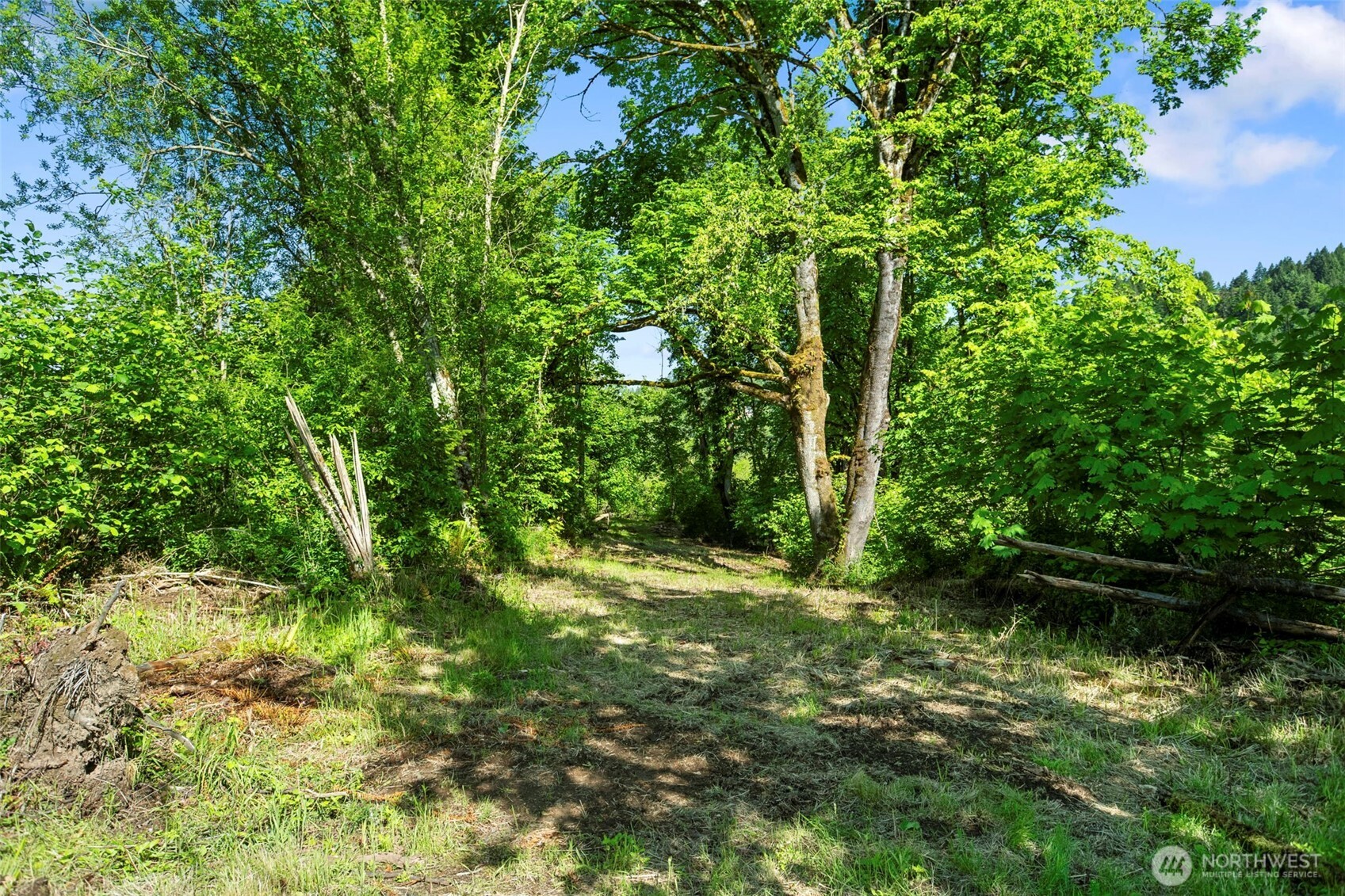 110 N Burke Road , Woodland, WA 98674