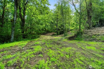 110 N Burke Road , Woodland, WA 98674 - Photo 10