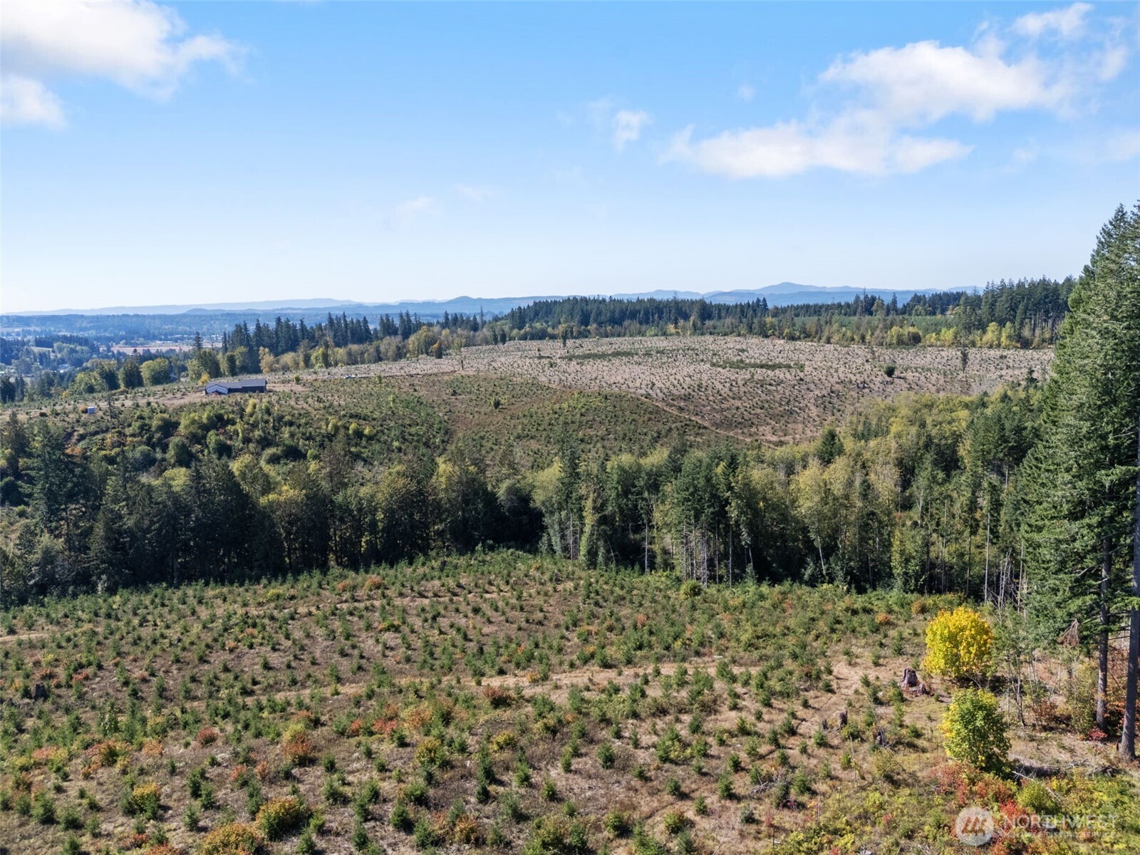 0 Lot 4 Macomber Street W, Chehalis, WA 98532