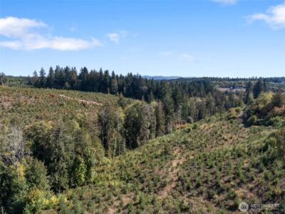 0 Lot 4 Macomber Street W, Chehalis, WA 98532 - Photo 3