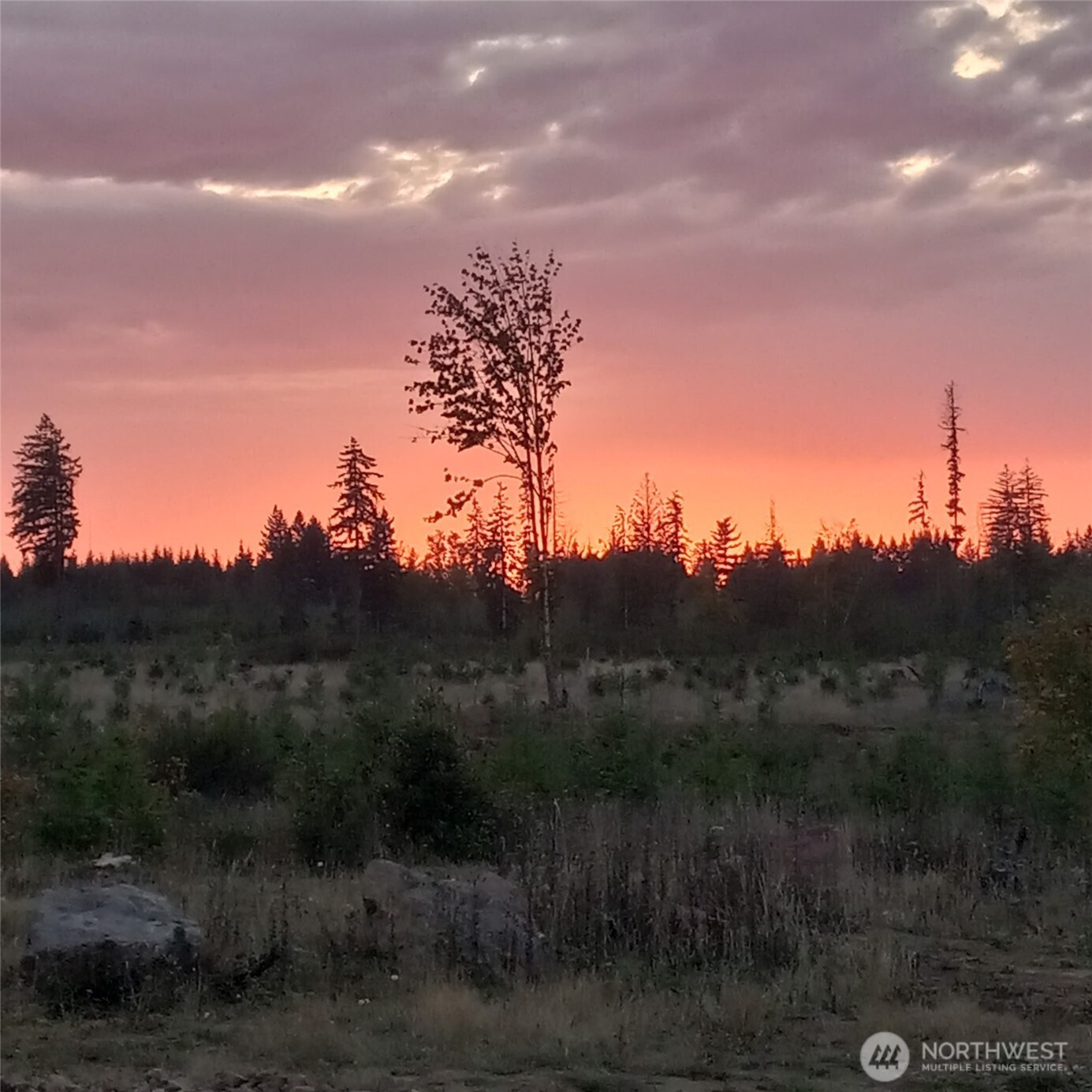 0 Lot 4 Macomber Street W, Chehalis, WA 98532