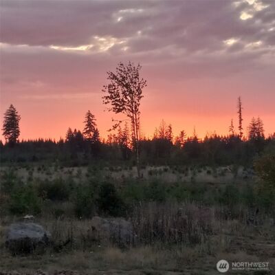 0 Lot 4 Macomber Street W, Chehalis, WA 98532 - Photo 10