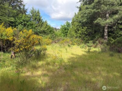 13234 Brownsville HWY NE, Poulsbo, WA 98370 - Photo 2