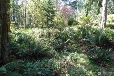 6709 Westhill Court SW, Olympia, WA 98512 - Photo 27