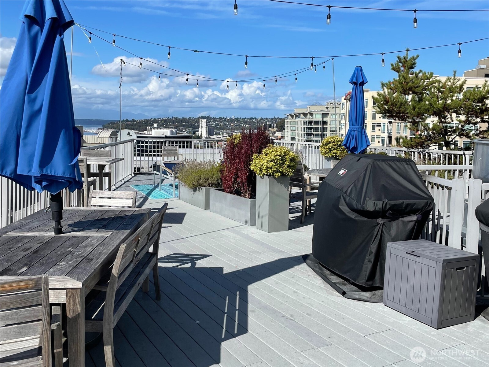 76 Cedar St #405, Seattle, WA 98121