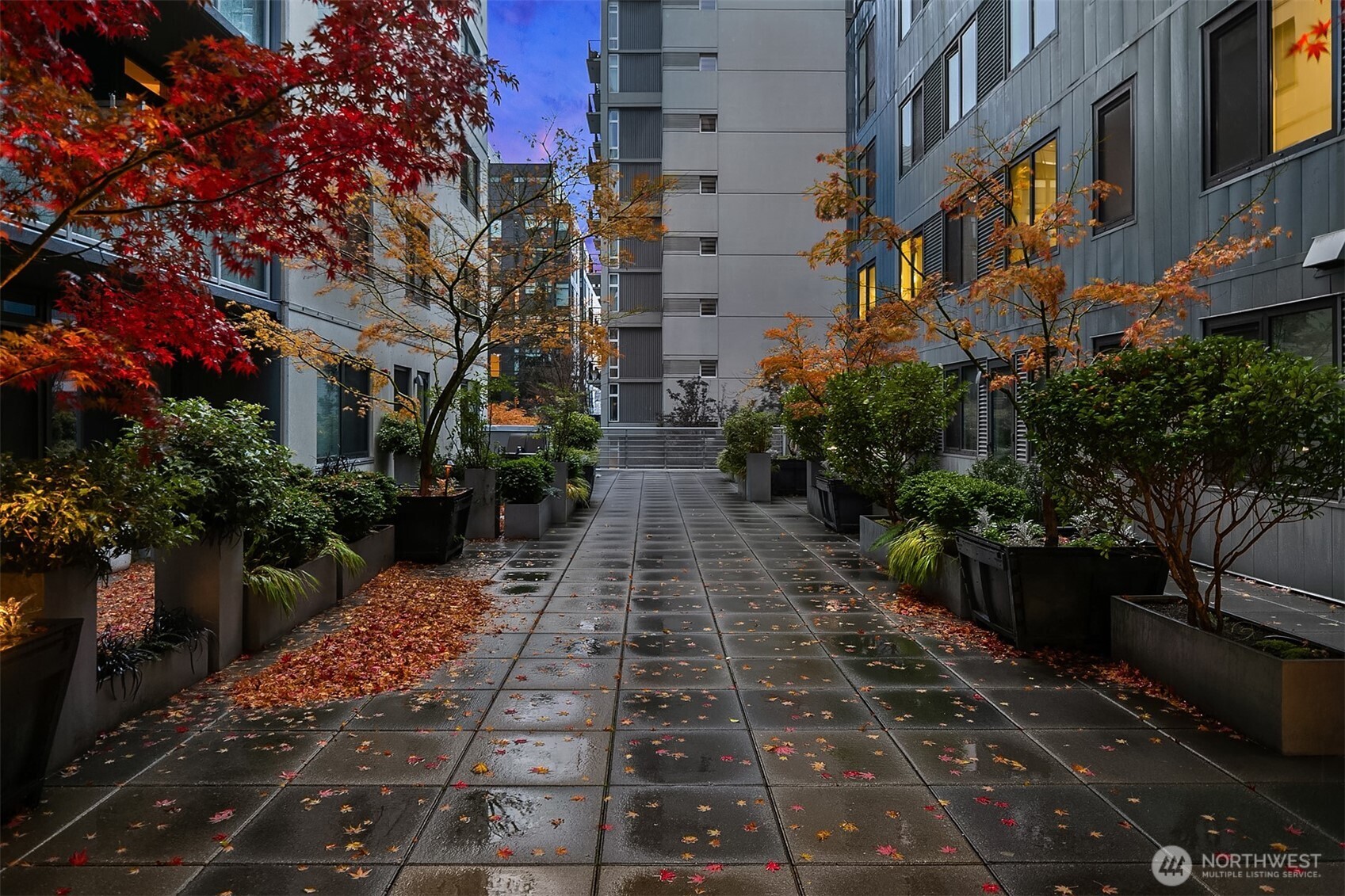 76 Cedar St #405, Seattle, WA 98121