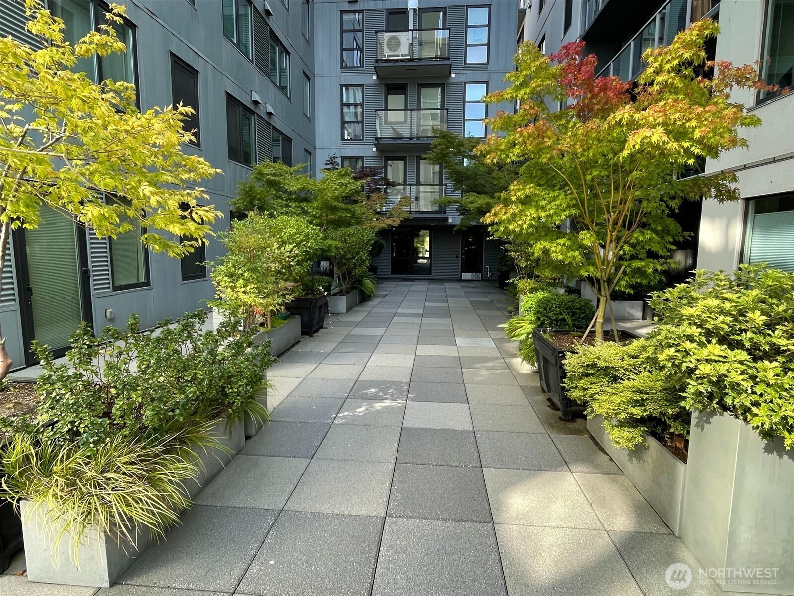 76 Cedar St #405, Seattle, WA 98121