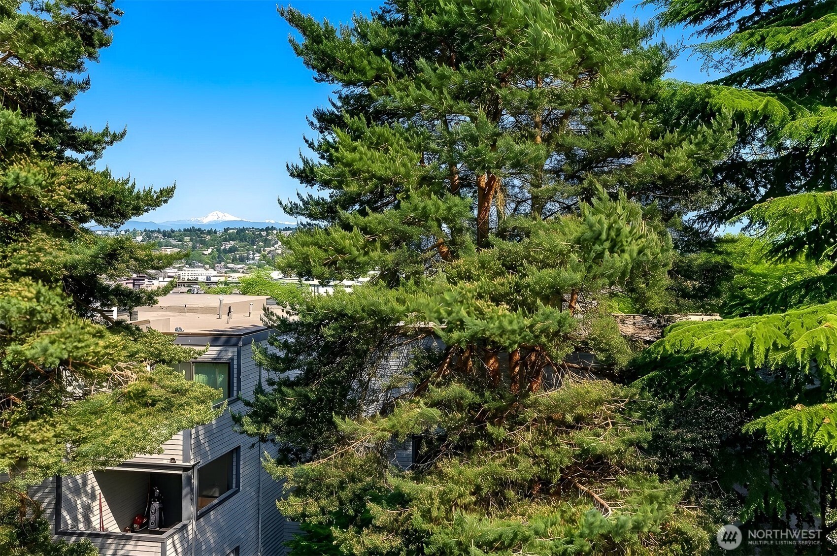 3711 26th Place W #306, Seattle, WA 98199