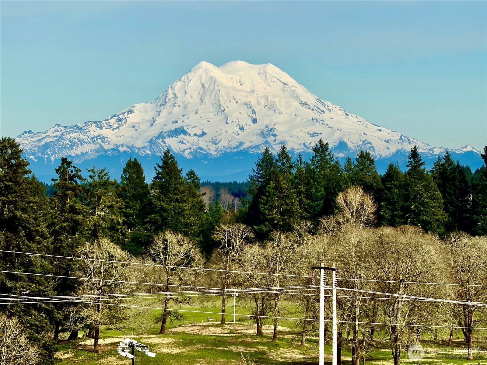 2835 Arrowroot Loop SE, Lacey, WA 98513