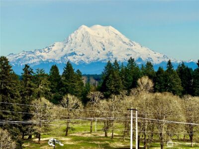 2835 Arrowroot Loop SE, Lacey, WA 98513 - Photo 32