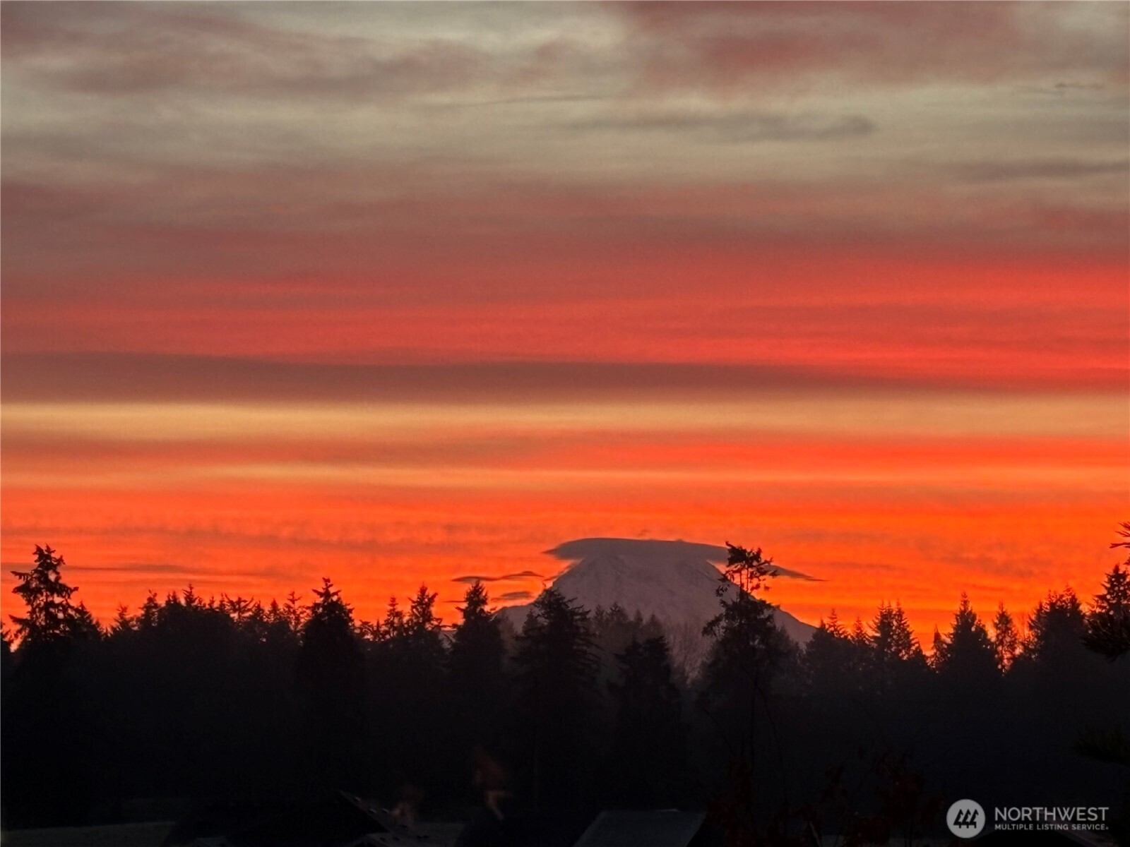 2835 Arrowroot Loop SE, Lacey, WA 98513