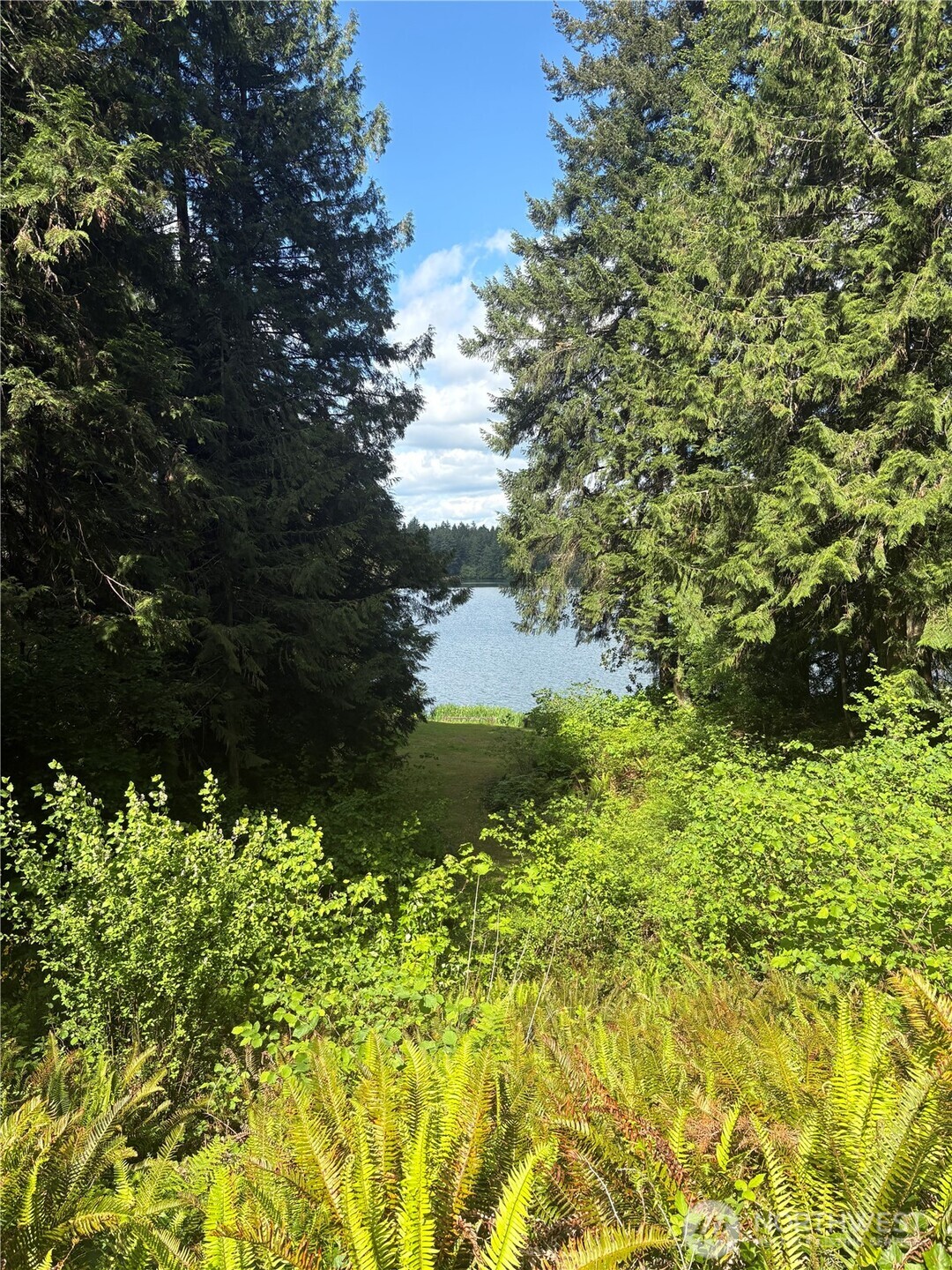 21950 Beachside Drive SE, Yelm, WA 98597