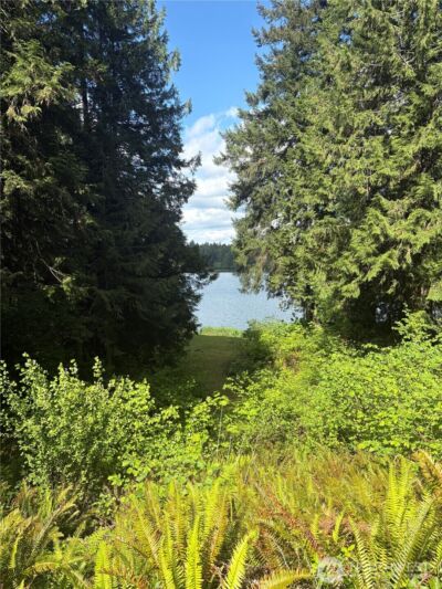 21950 Beachside Drive SE, Yelm, WA 98597 - Photo 5