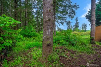 1546 Reservation Rd SE #149, Olympia, WA 98513 - Photo 36