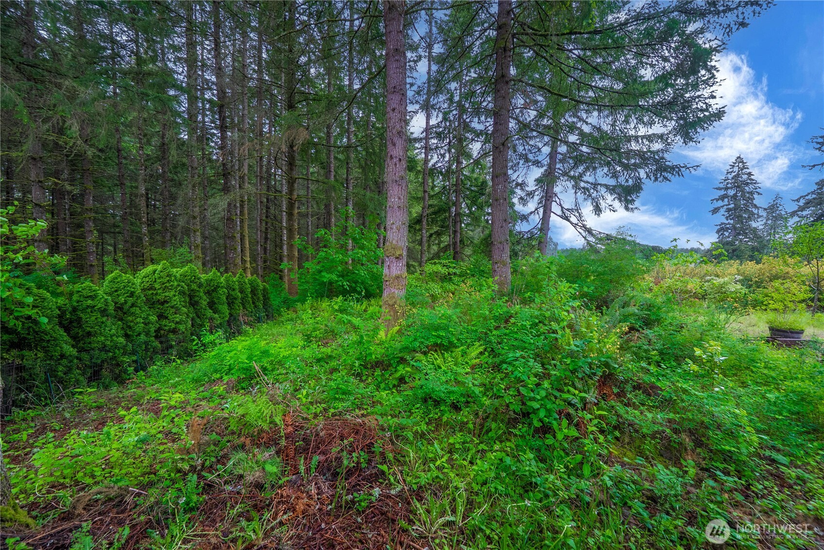 1546 Reservation Rd SE #149, Olympia, WA 98513