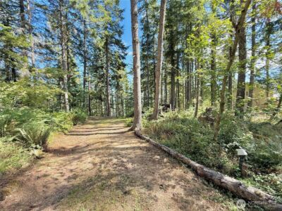 49923 146th Avenue E, Eatonville, WA 98328 - Photo 14
