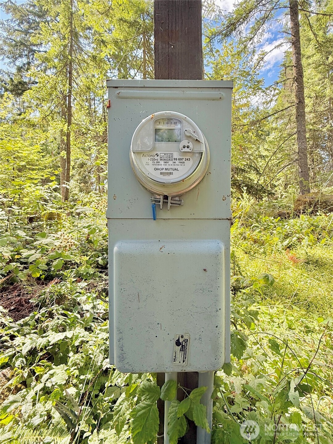 49923 146th Avenue E, Eatonville, WA 98328