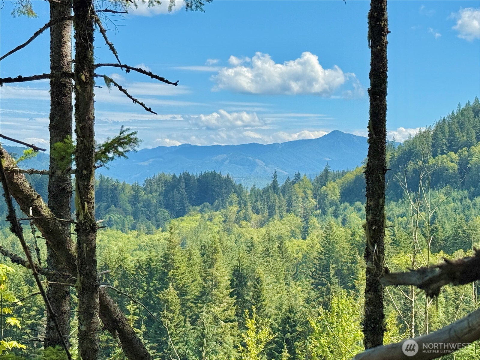 49923 146th Avenue E, Eatonville, WA 98328