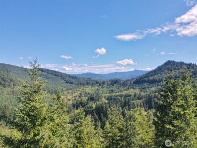 49923 146th Avenue E, Eatonville, WA 98328 - Photo 22
