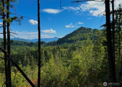 49923 146th Avenue E, Eatonville, WA 98328 - Photo 24