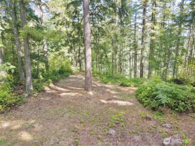 49923 146th Avenue E, Eatonville, WA 98328 - Photo 28