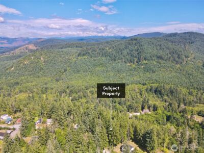49923 146th Avenue E, Eatonville, WA 98328 - Photo 33