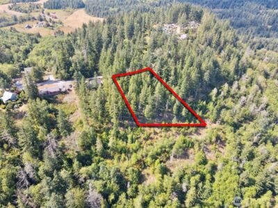 49923 146th Avenue E, Eatonville, WA 98328 - Photo 34