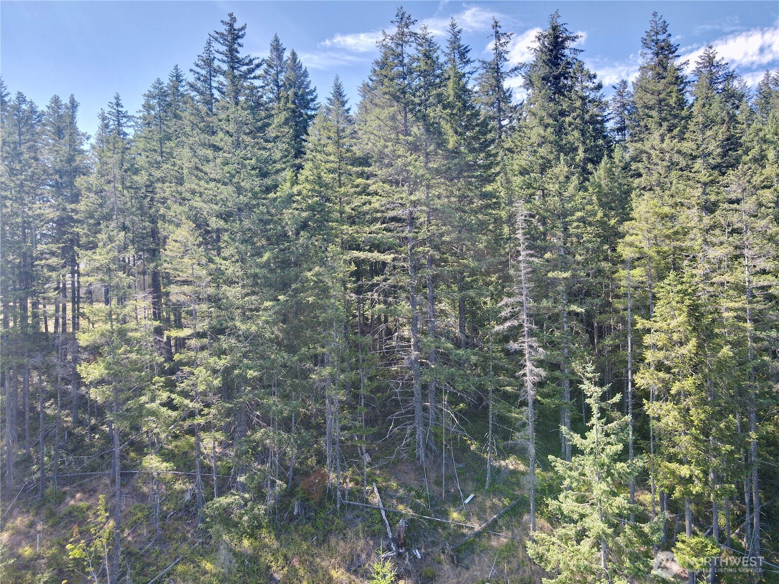 49923 146th Avenue E, Eatonville, WA 98328