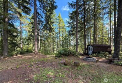 49923 146th Avenue E, Eatonville, WA 98328 - Photo 8