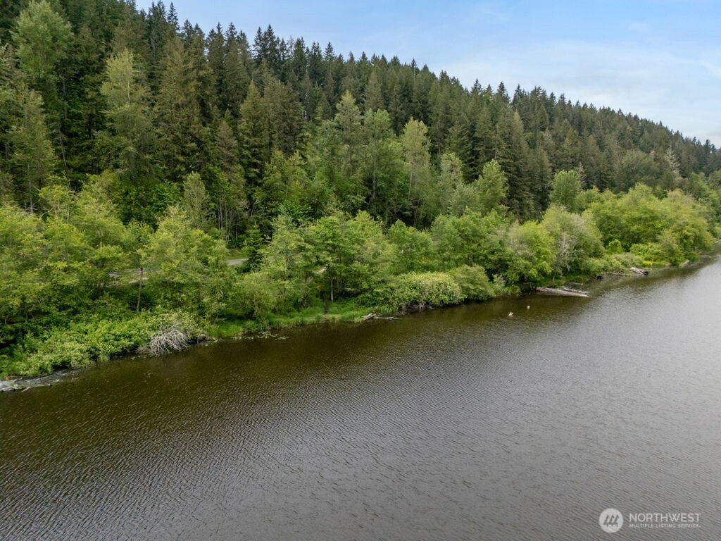0 Lot 3&4 Orville Road E, Eatonville, WA 98328