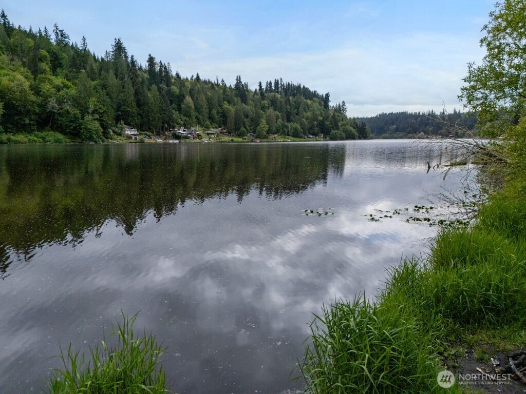 0 Lot 3&4 Orville Road E, Eatonville, WA 98328
