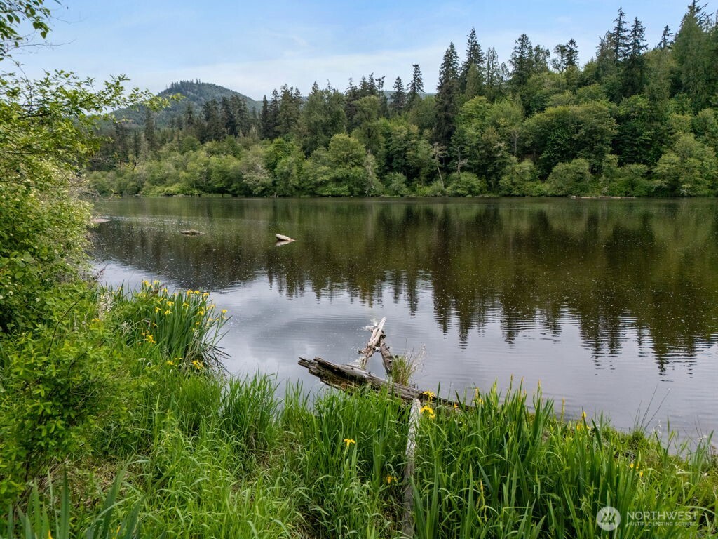 0 Lot 3&4 Orville Road E, Eatonville, WA 98328