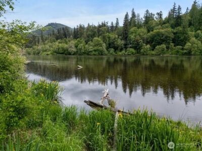 0 Lot 3&4 Orville Road E, Eatonville, WA 98328 - Photo 13