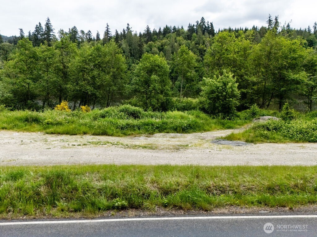 0 Lot 3&4 Orville Road E, Eatonville, WA 98328